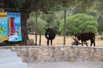 Kloster Anafonitria - Insel Zakynthos foto 5