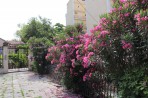 Museum und Herrenhaus der Familie Romas - Insel Zakynthos foto 1