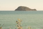 Marathonisi (Schildkröteninsel) - Insel Zakynthos foto 11