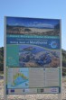 Marathonisi (Schildkröteninsel) - Insel Zakynthos foto 21