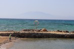 Drosia Strand - Insel Zakynthos foto 5