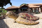 Gerakas Strand - Insel Zakynthos foto 43