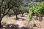 Marathia Strand - Insel Zakynthos foto 1