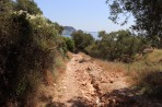 Marathia Strand - Insel Zakynthos foto 3